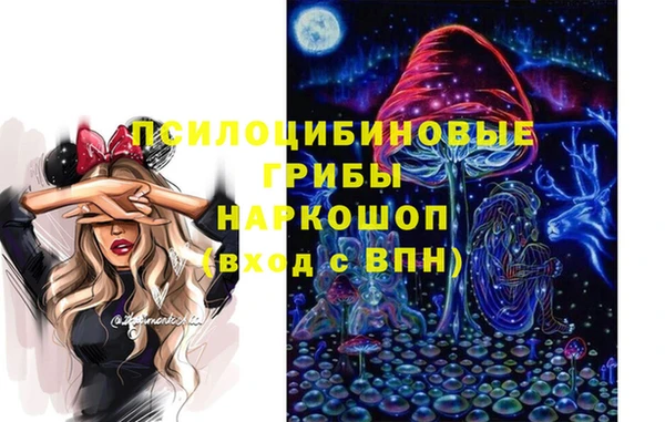круглые Надым