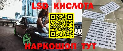 apvp Камышлов