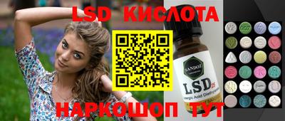 apvp Камышлов