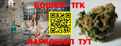 apvp Камышлов