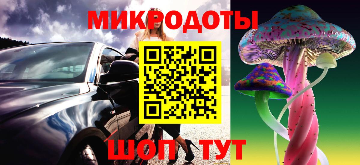 Псилоцибиновые грибы Psilocybine cubensis Новороссийск
