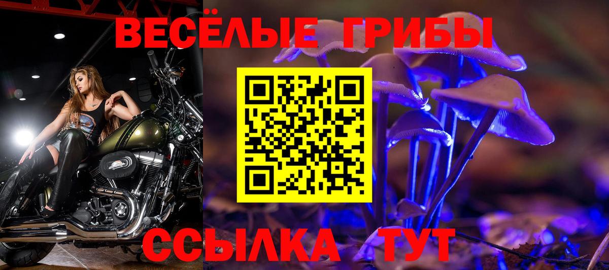 Новороссийск  Галлюциногенные грибы GOLDEN TEACHER  Вход с VPN 